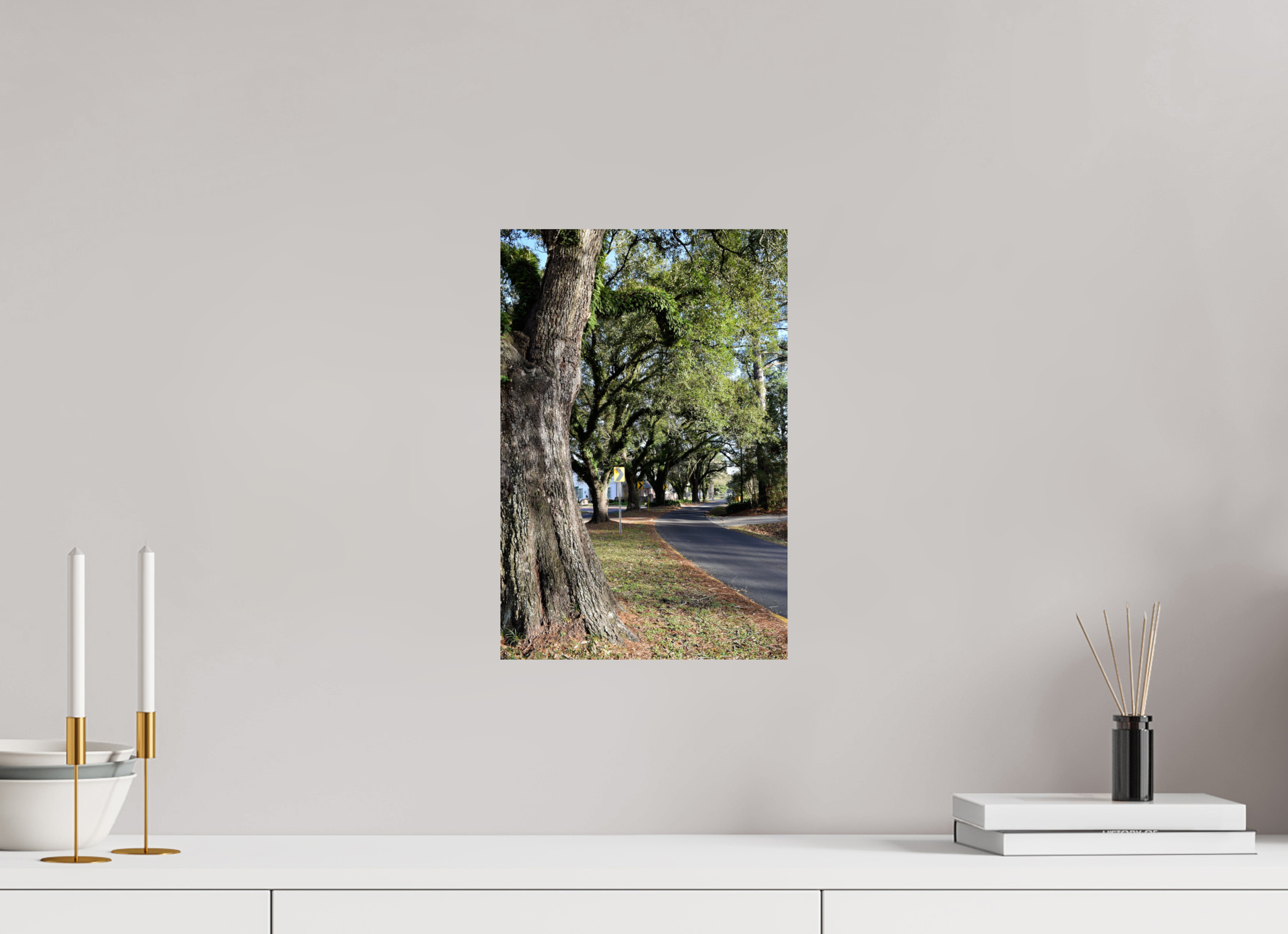 10 x 15″, Fuji Crystal DP II East Bayou trees