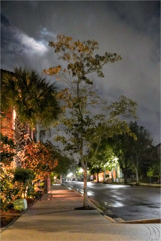 Main image Cloudy Mood