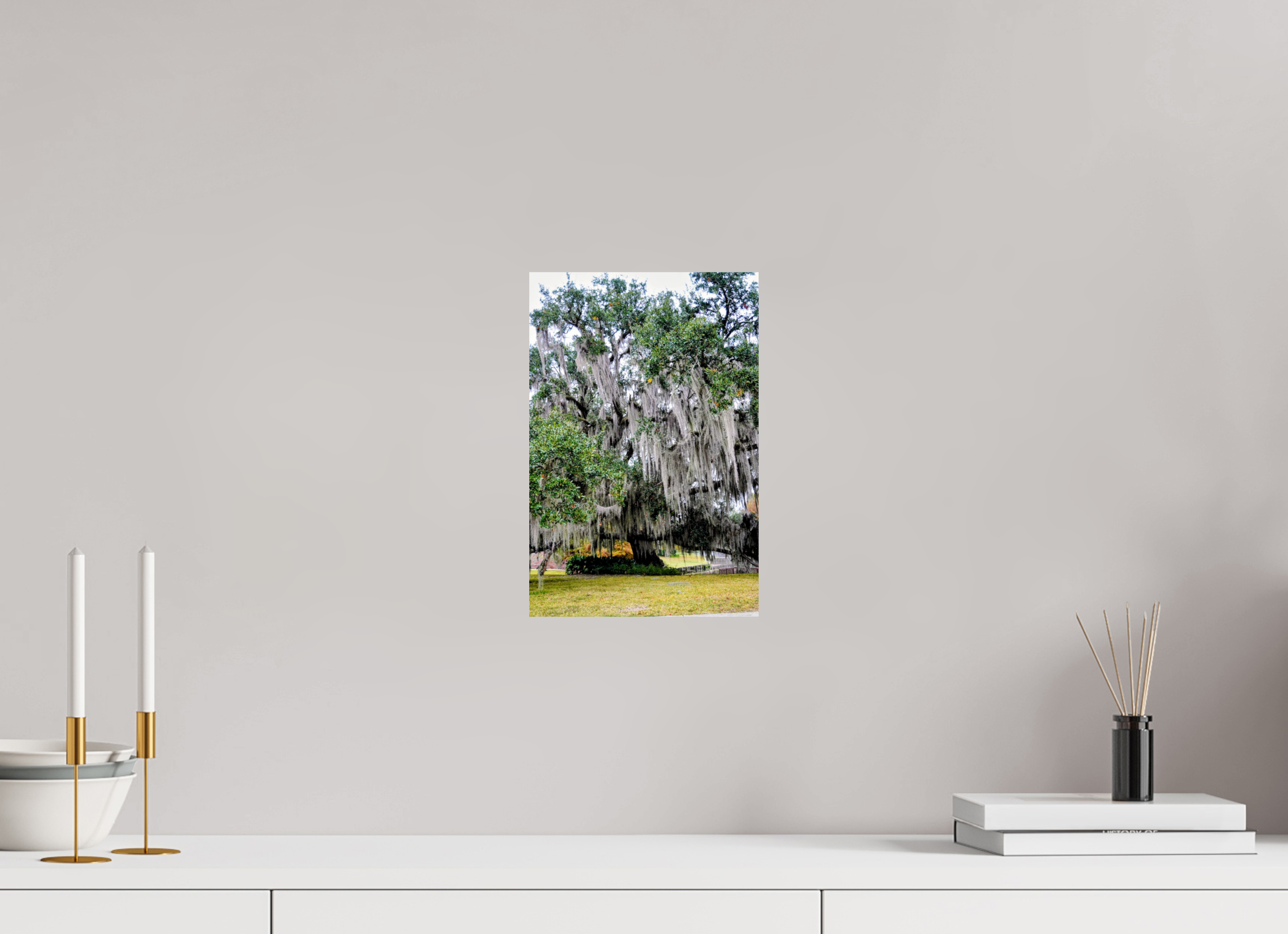 8 x 12″, Fuji Crystal DP II River Ranch tree.2