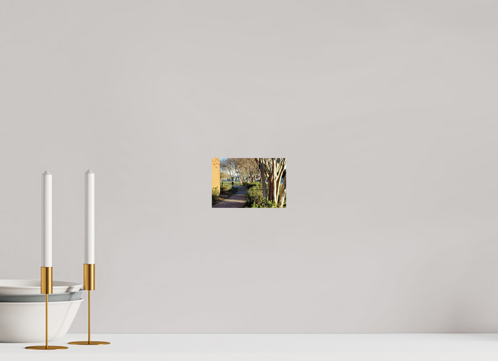 6 x 4″, Fuji Crystal DP II Picard trees