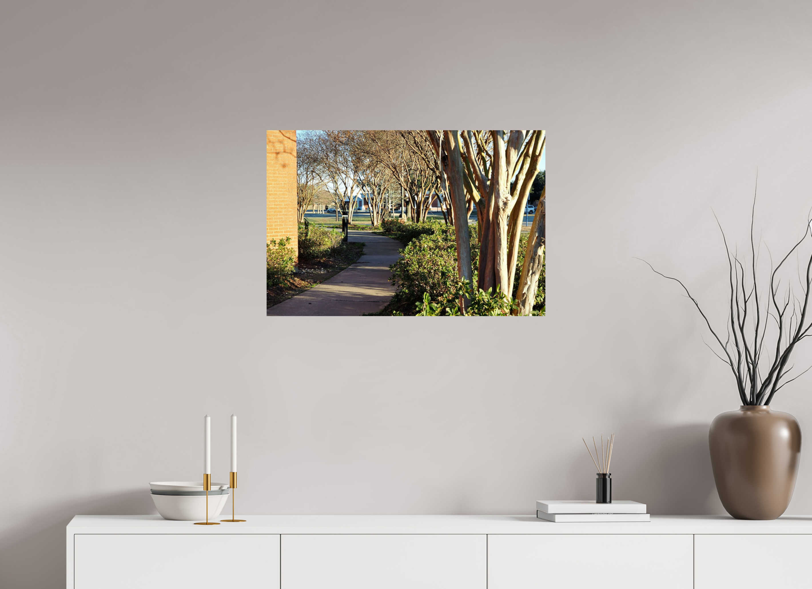 30 x 20″, Fuji Crystal DP II Picard trees