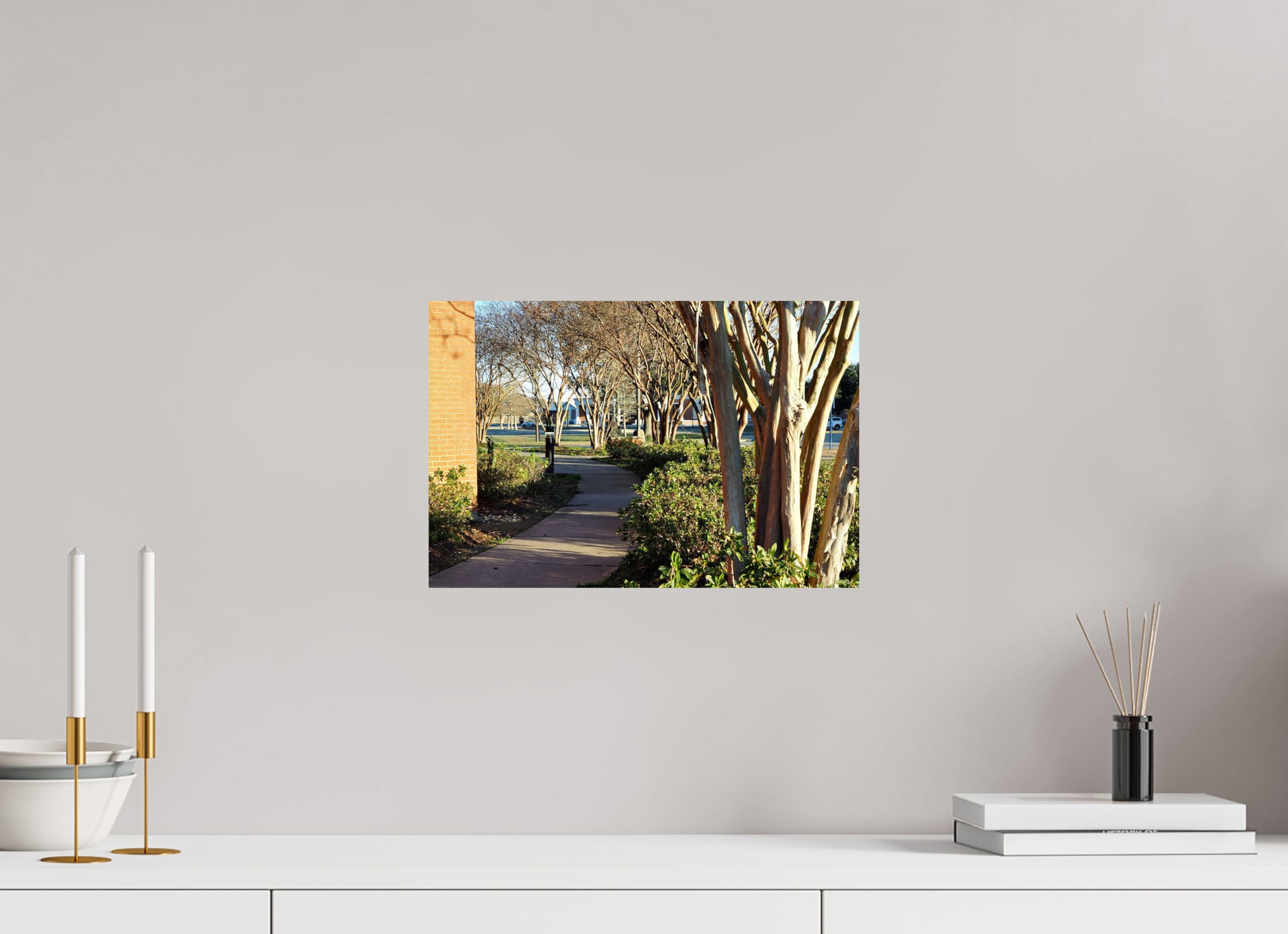 15 x 10″, Fuji Crystal DP II Picard trees