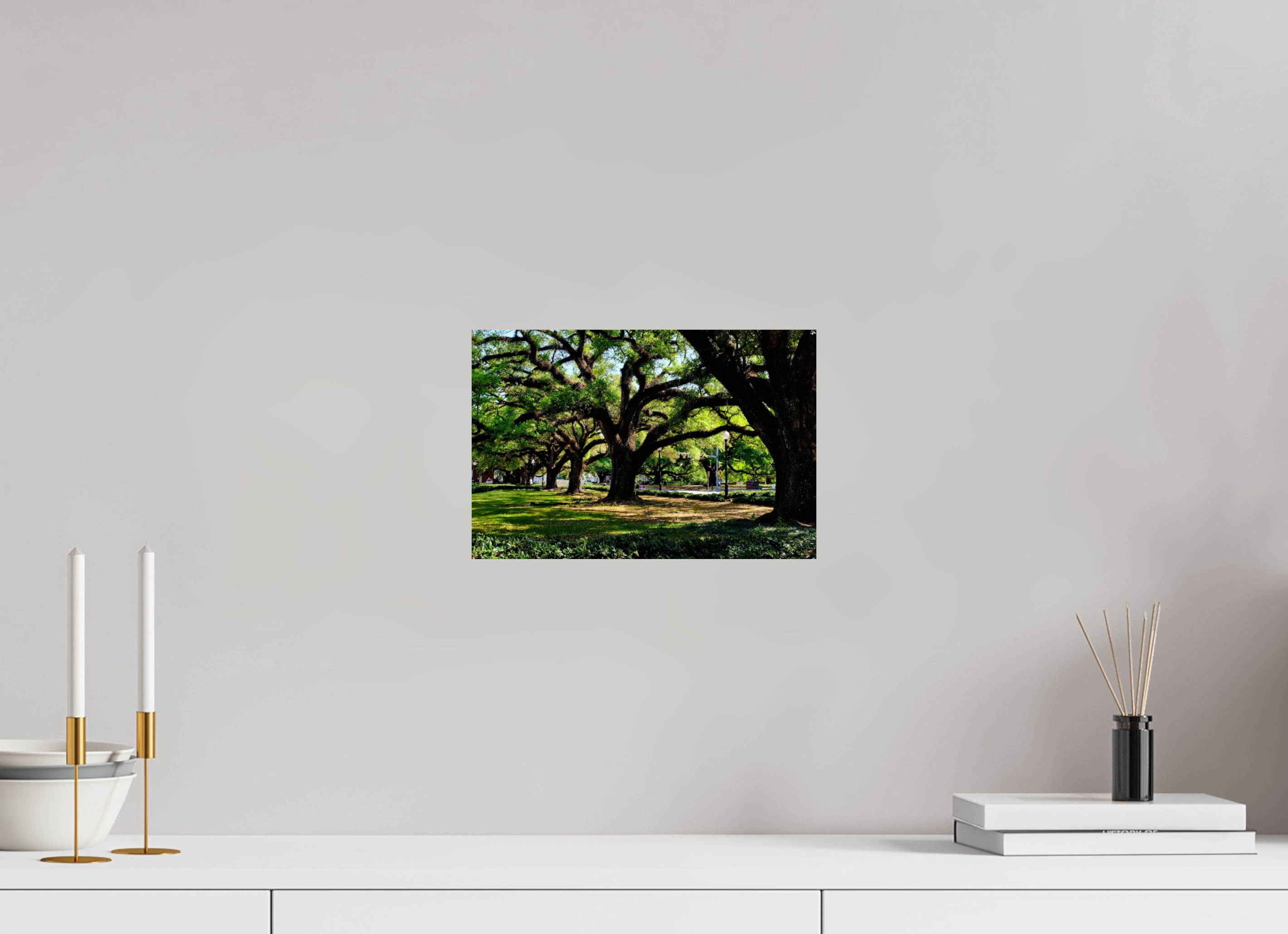 12 x 8″, Fuji Crystal DP II Campus trees