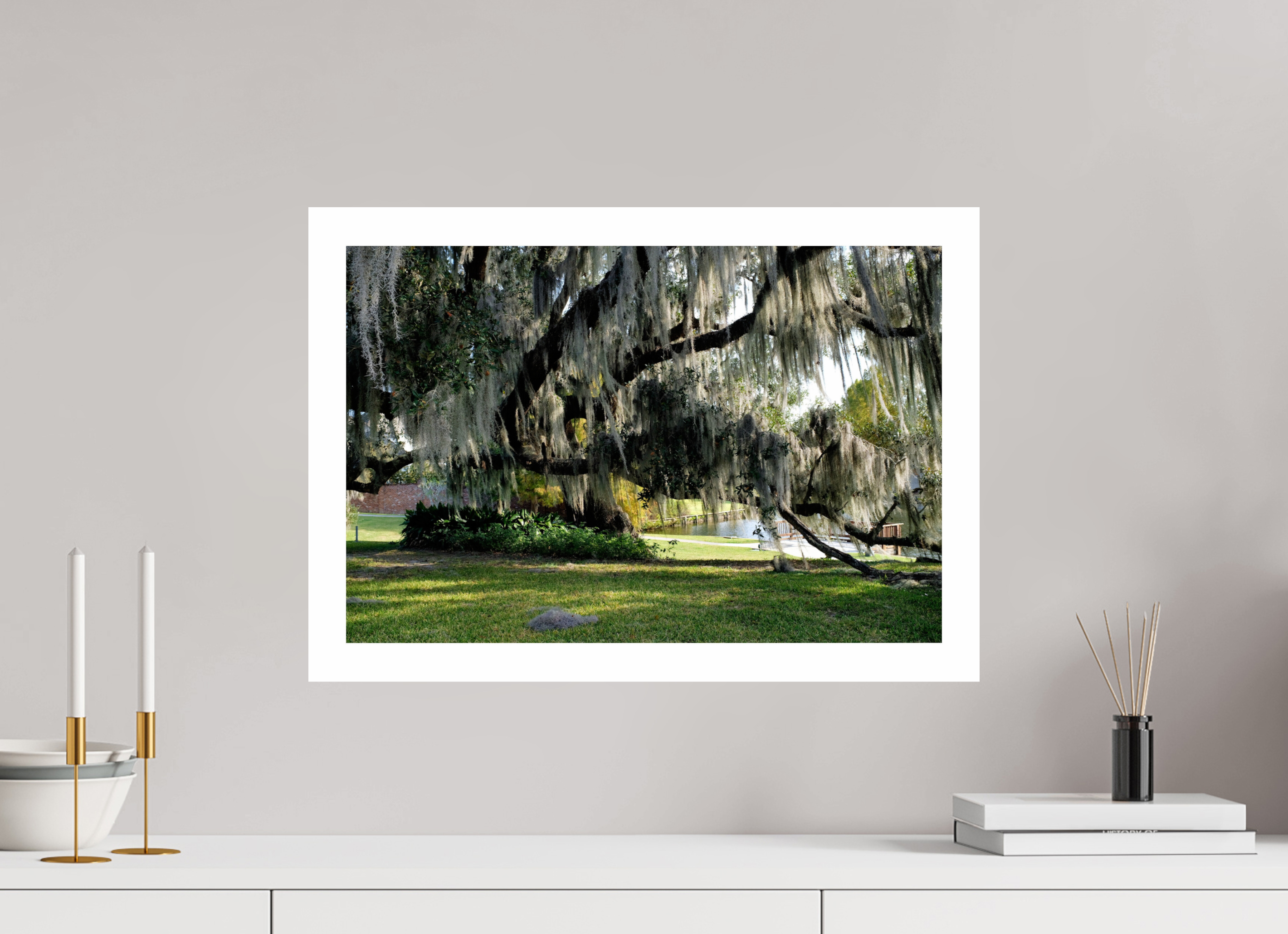 ISO A2 (59,4 x 42 cm), Fuji Crystal DP II River Ranch Tree