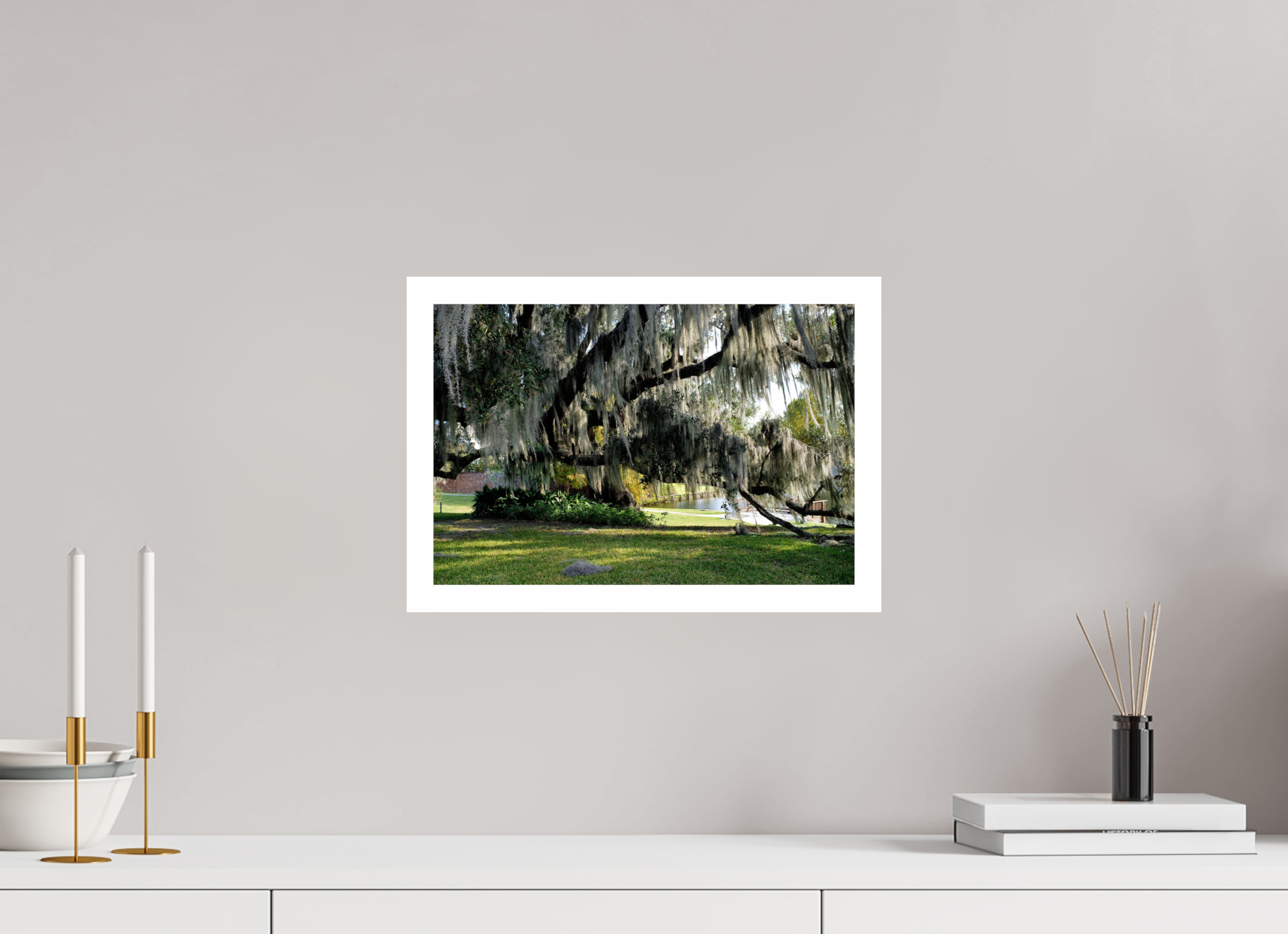 ISO A3 (42 x 29,7 cm), Fuji Crystal DP II River Ranch Tree