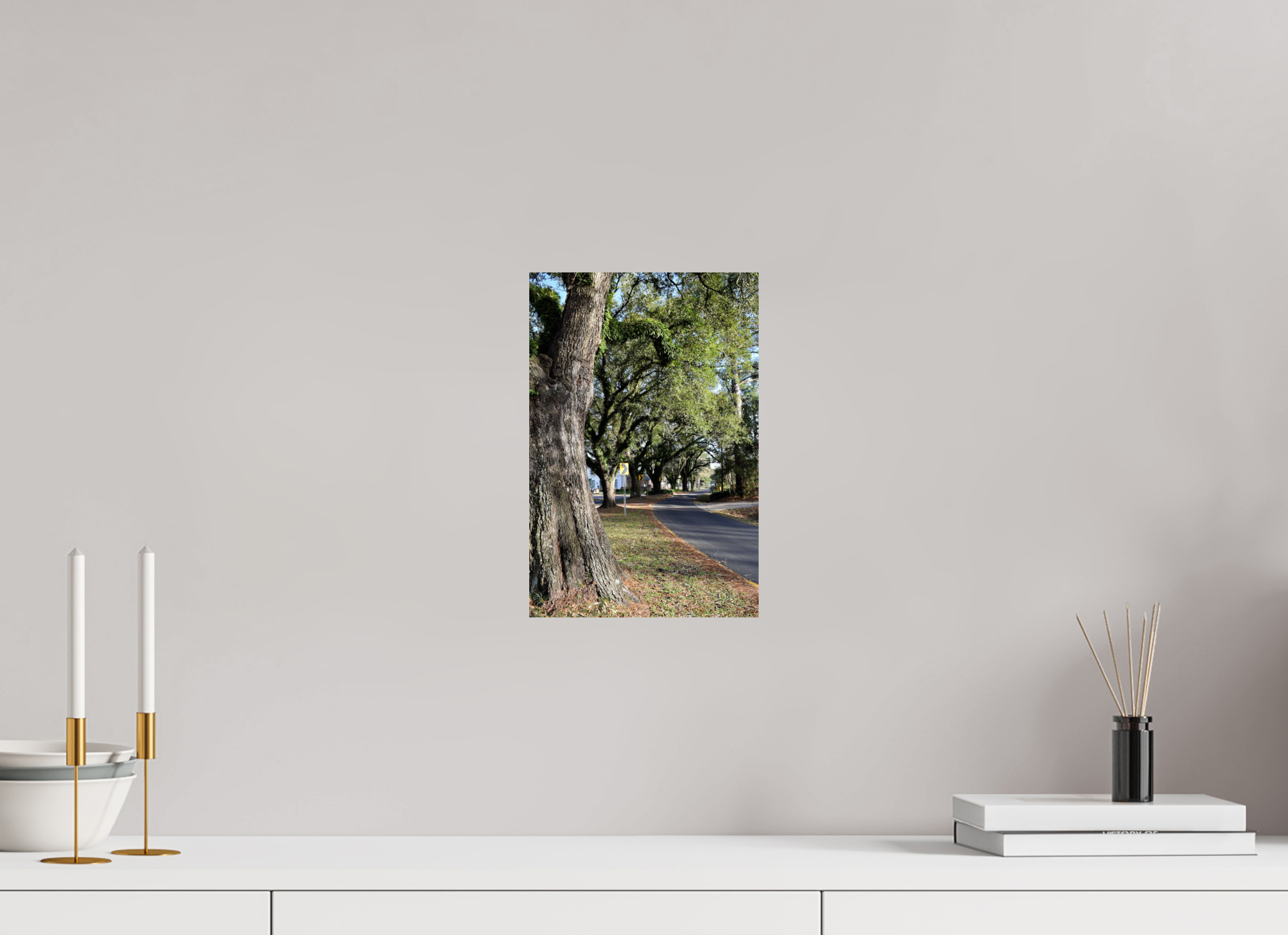 8 x 12″, Fuji Crystal DP II East Bayou trees
