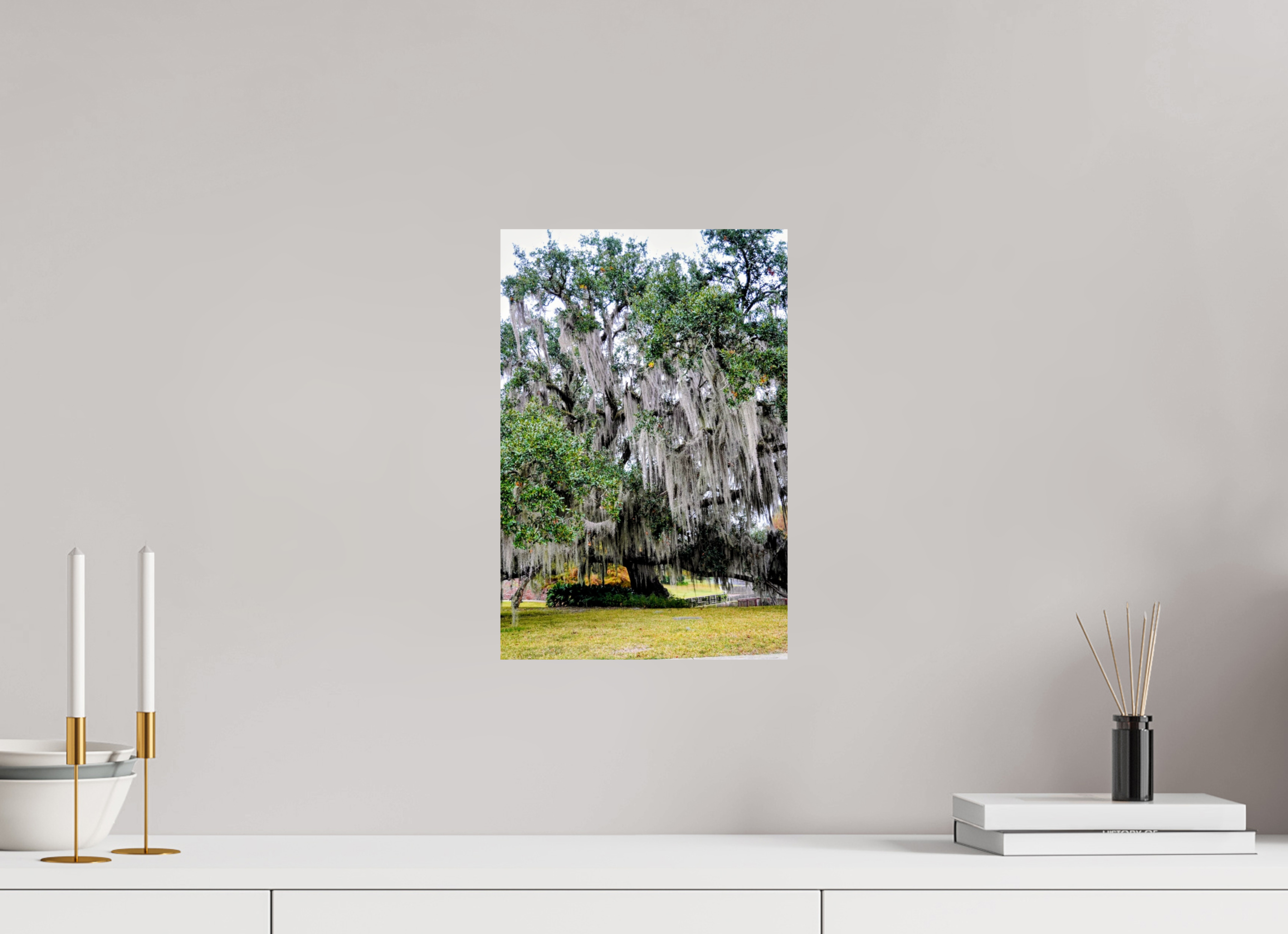10 x 15″, Fuji Crystal DP II River Ranch tree.2