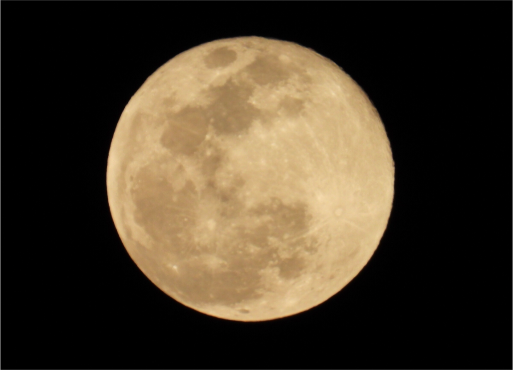 Main image February moon