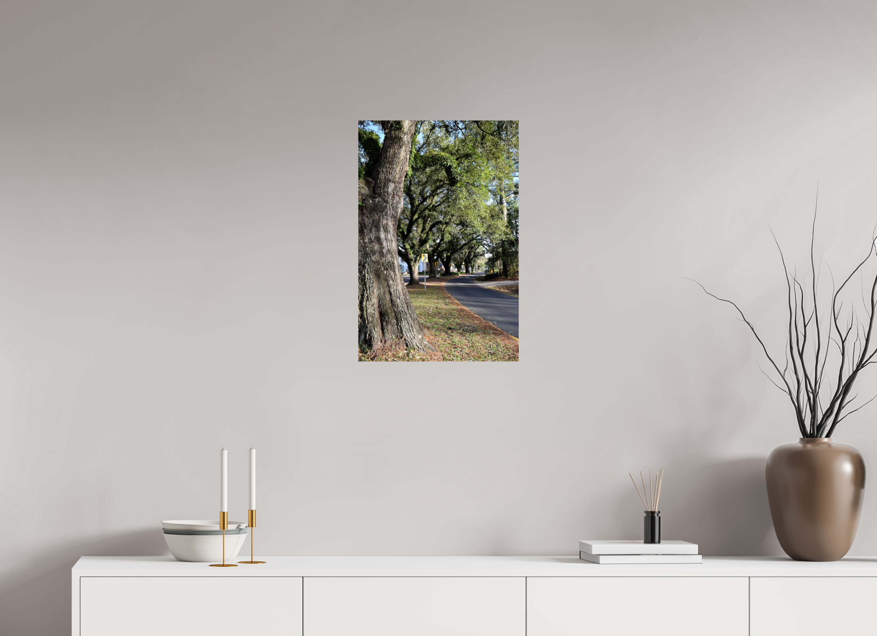 16 x 24″, Fuji Crystal DP II East Bayou trees