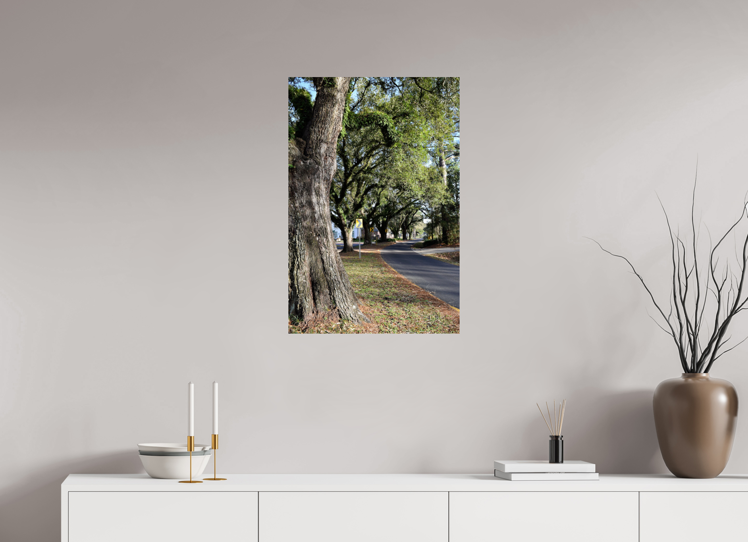 20 x 30″, Fuji Crystal DP II East Bayou trees