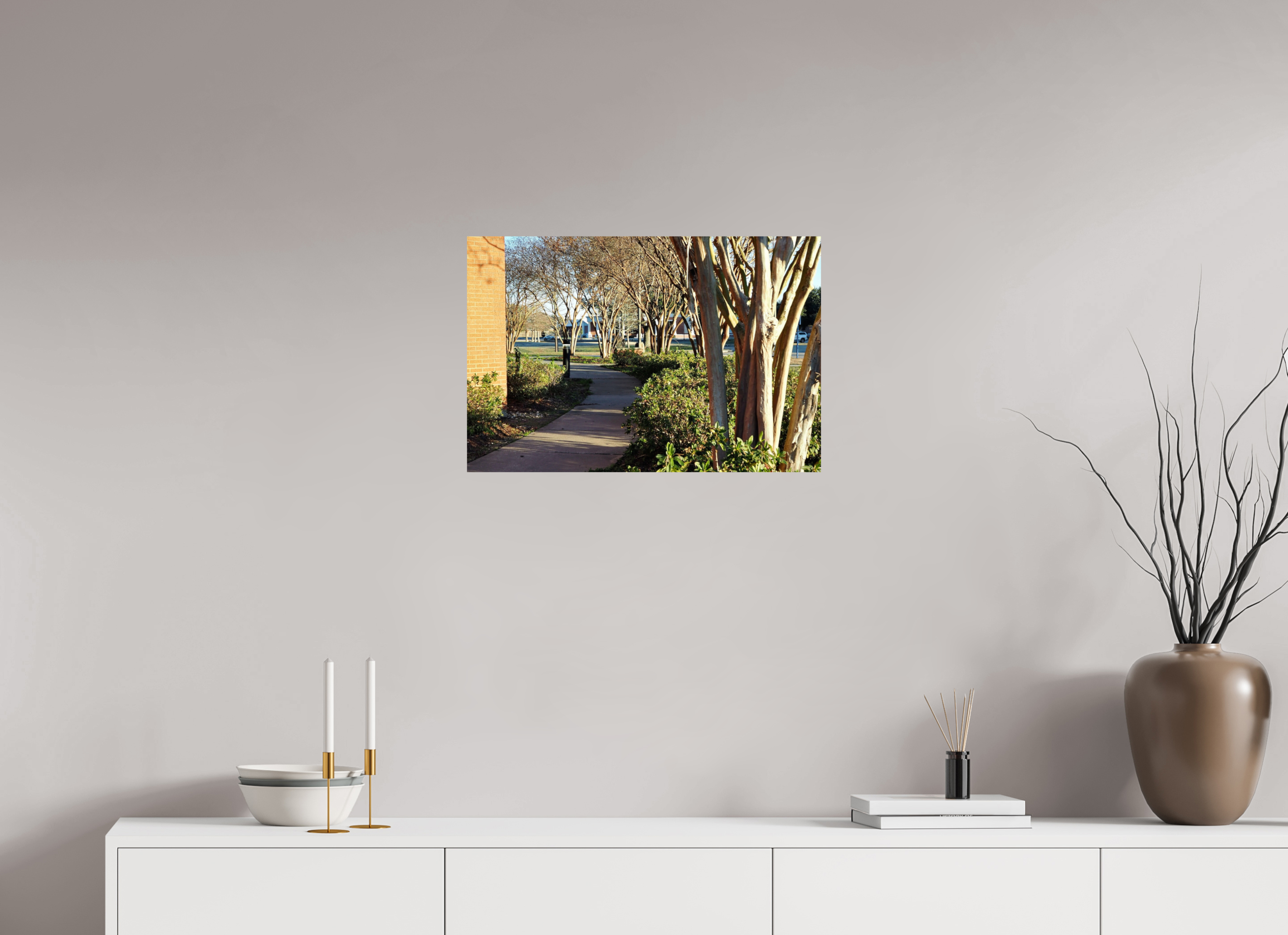 24 x 16″, Fuji Crystal DP II Picard trees