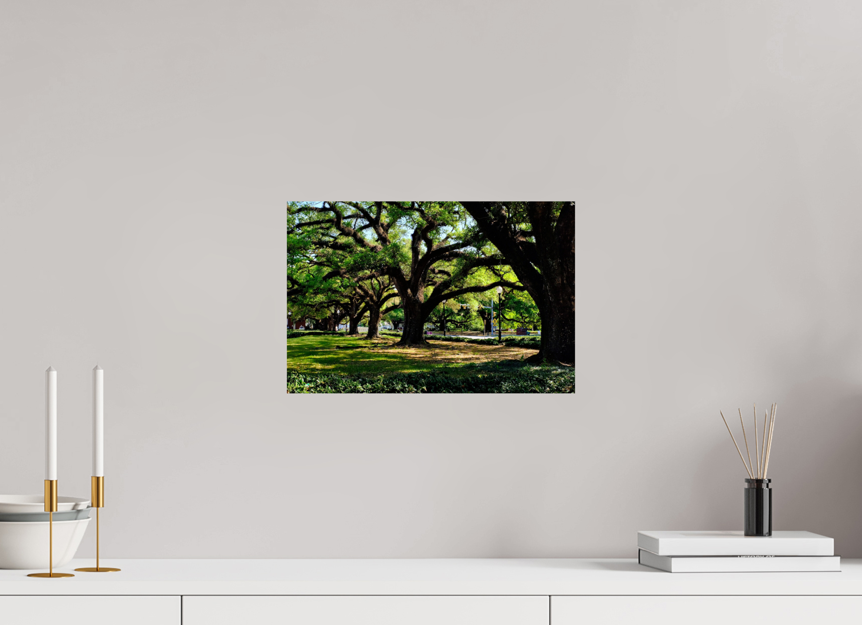 15 x 10″, Fuji Crystal DP II Campus trees