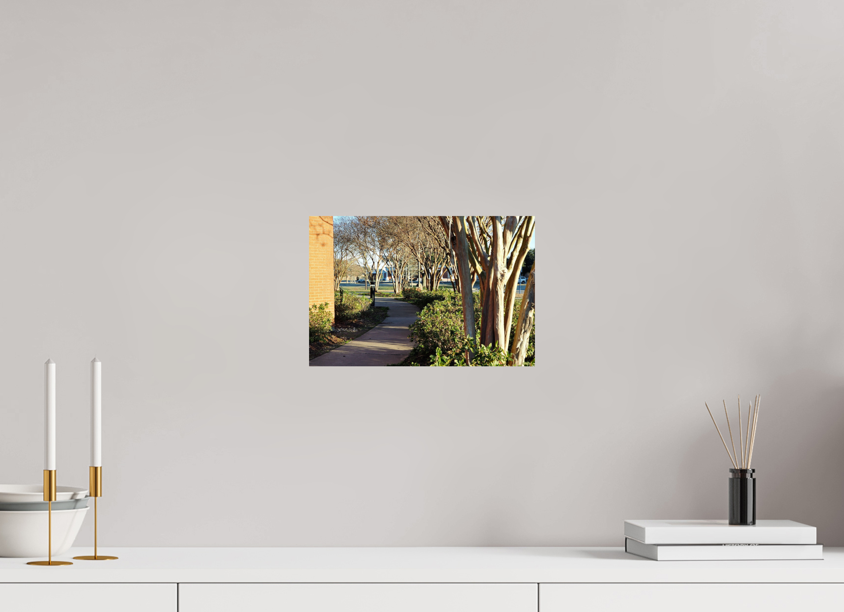 12 x 8″, Fuji Crystal DP II Picard trees